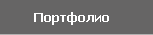 Портфолио